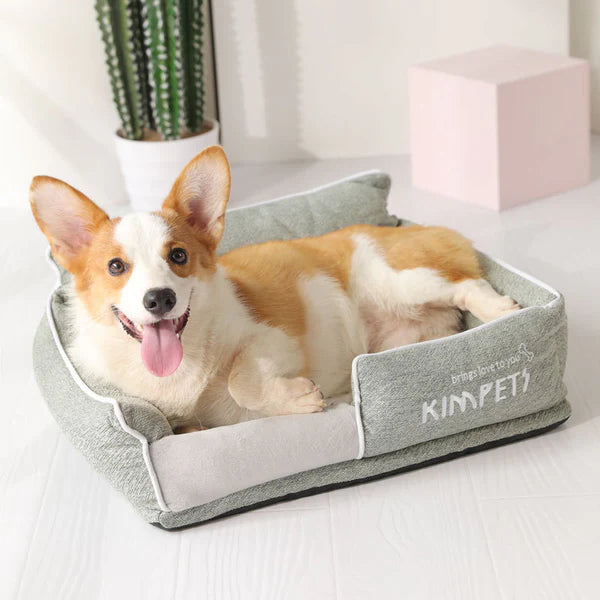 Discover Durable Pet Toys Online