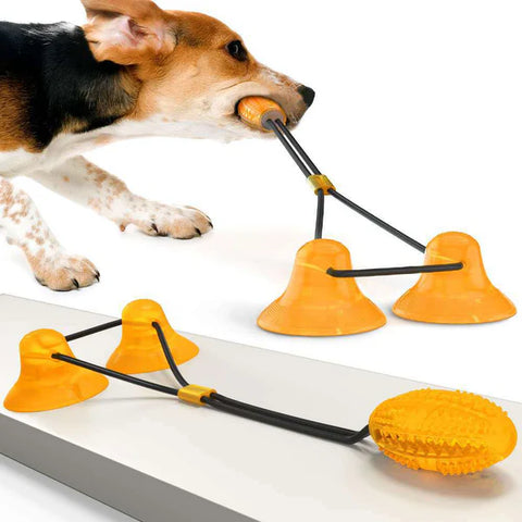 Fetch for Days: Ball Toys for Energetic Pets to Chase Away Boredom