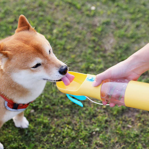 Engage Your Pup with Interactive Dog Toys: Hours of Fun Ahead!