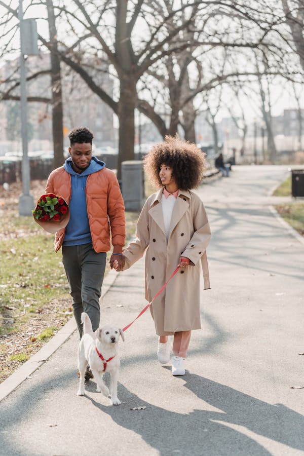 Adorable Valentine’s Day Pet Toys Your Furry Friend Will Love