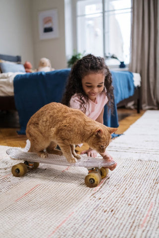 Entertain Your Indoor Feline with Stimulating Cat Toys: Endless Entertainment